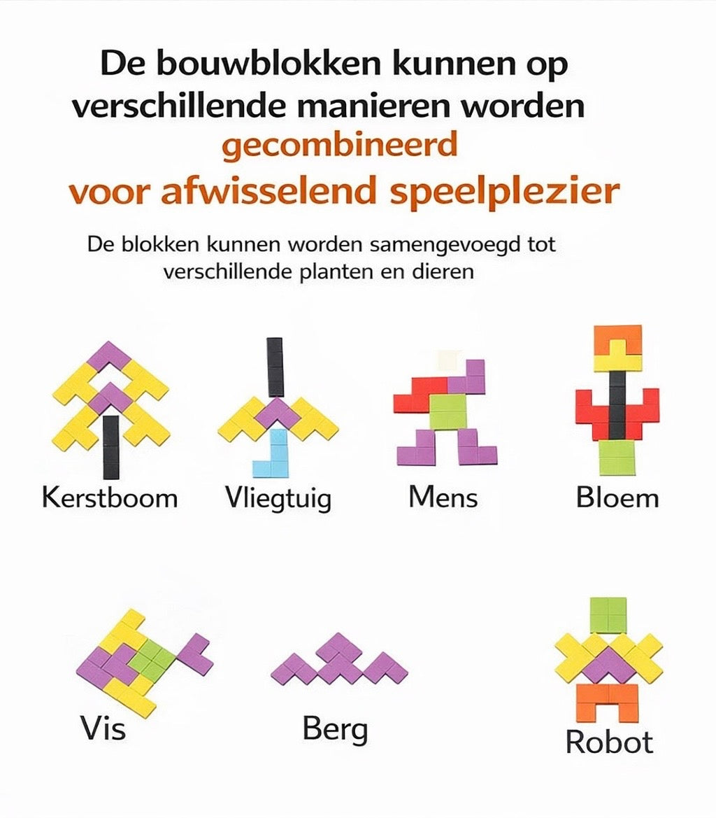 Kleurrijke Breinpuzzel